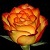 Miss Rose