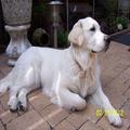 Lilian 