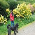 Anneke